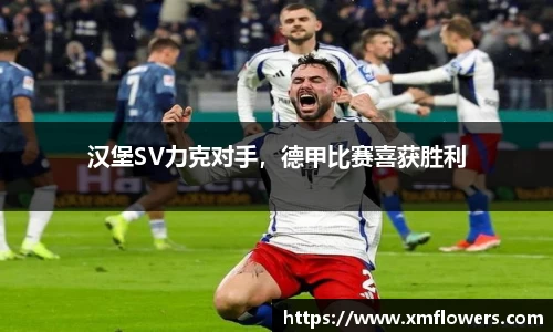 汉堡SV力克对手，德甲比赛喜获胜利