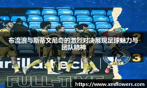 布流浪与斯蒂文尼奇的激烈对决展现足球魅力与团队精神
