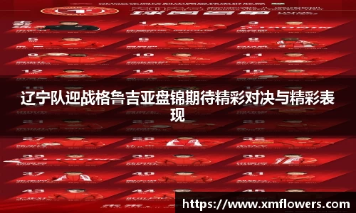 辽宁队迎战格鲁吉亚盘锦期待精彩对决与精彩表现
