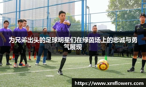 tyc33455cc太阳成集团官网