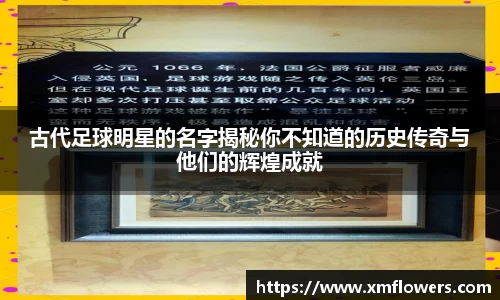 tyc33455cc太阳成集团