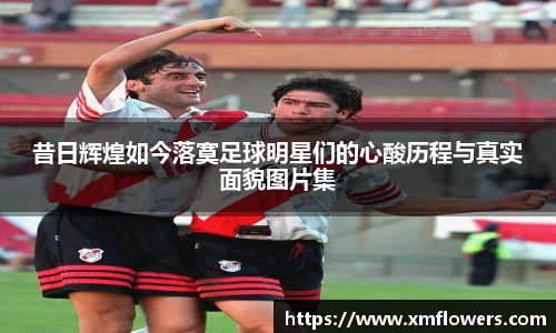 tyc33455cc太阳成集团官网